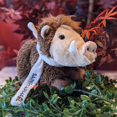 01 Peluches Renard   Sanglier (2)